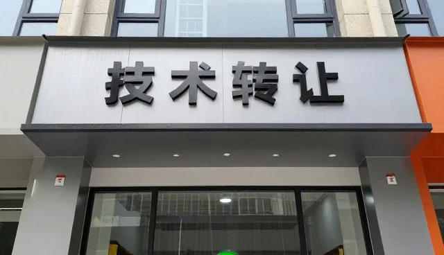 技术转让在应用开发中的使用与维护要点